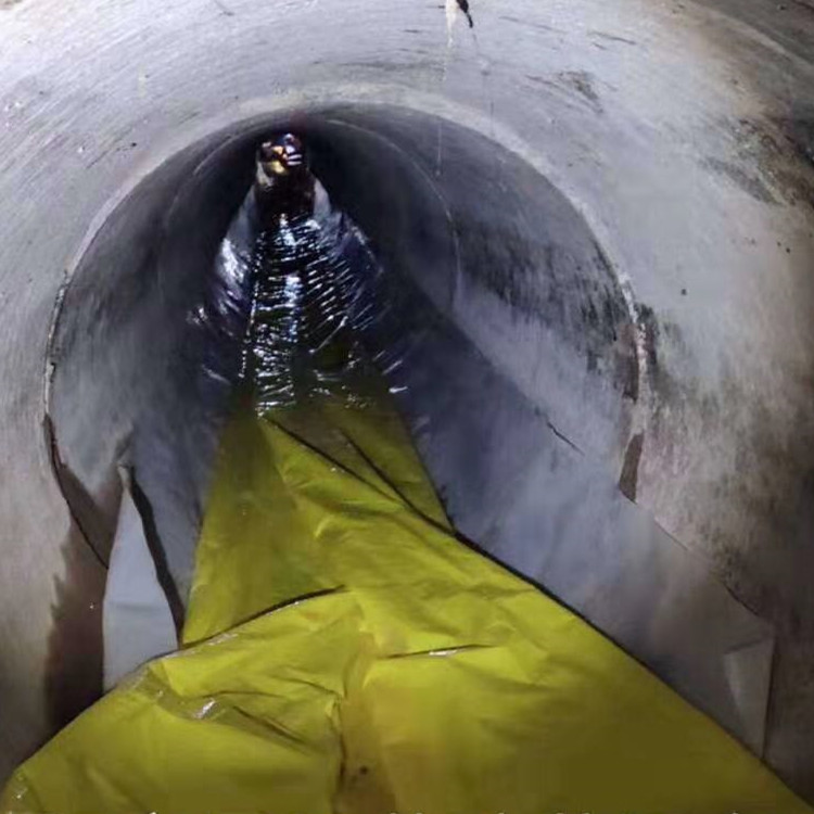 天峨管道光固化修复